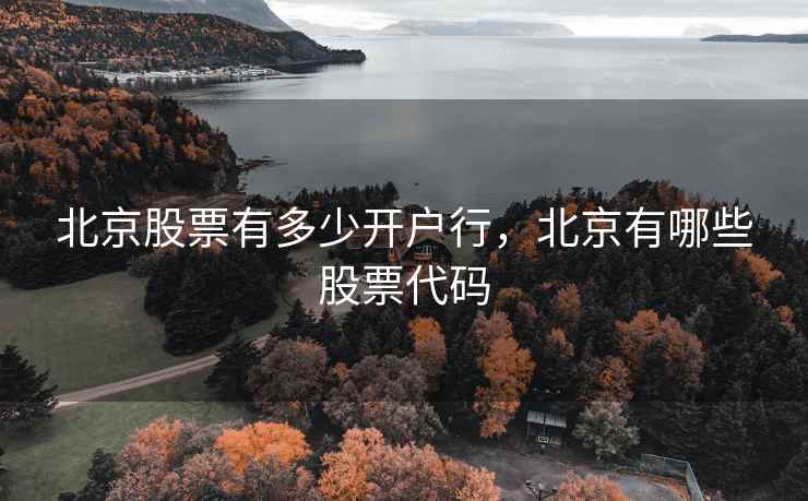 北京股票有多少开户行，北京有哪些股票代码