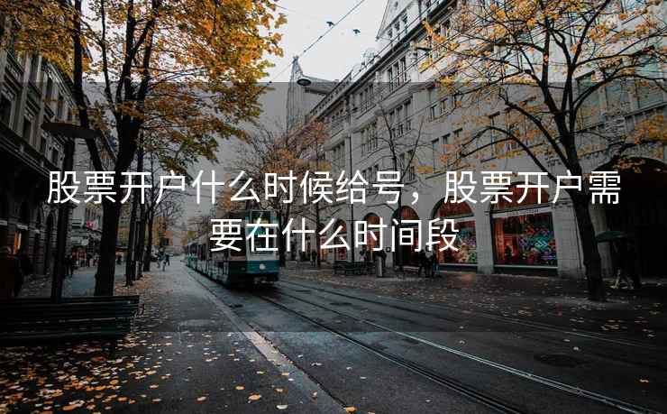 股票开户什么时候给号,股票开户需要在什么时间段 股票开户什么时候给号,股票开户需要在什么时间段