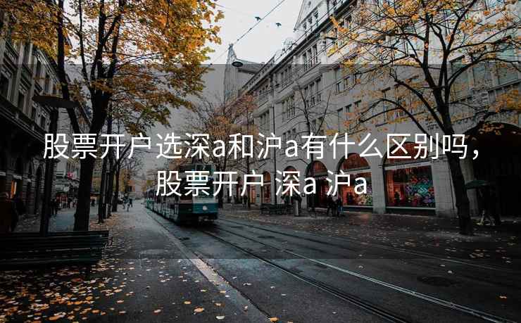 股票开户选深a和沪a有什么区别吗，股票开户 深a 沪a