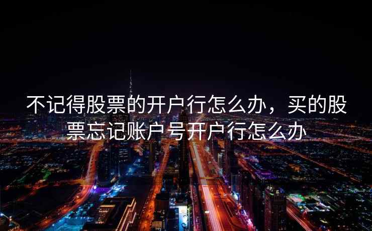 不记得股票的开户行怎么办，买的股票忘记账户号开户行怎么办