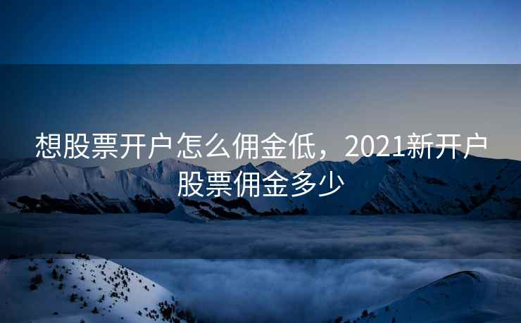 想股票开户怎么佣金低,2021新开户股票佣金多少 想股票开户怎么佣金低,2021新开户股票佣金多少