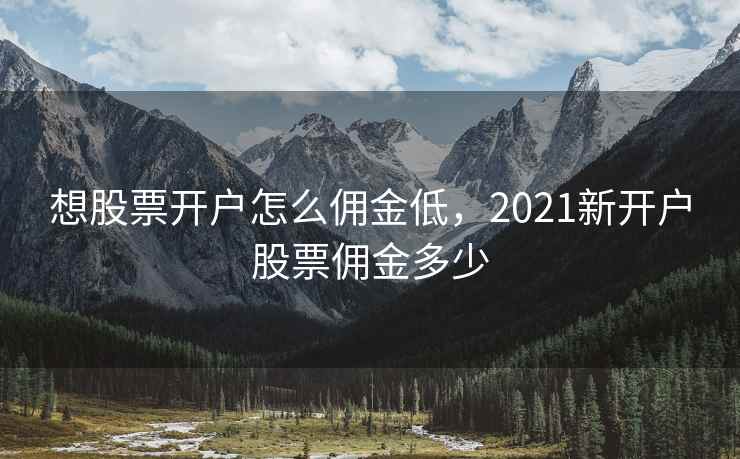 想股票开户怎么佣金低，2021新开户股票佣金多少