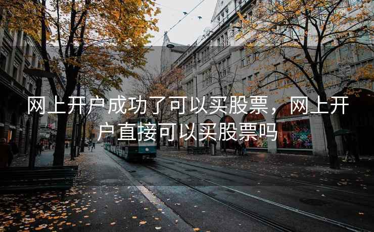 网上开户成功了可以买股票，网上开户直接可以买股票吗