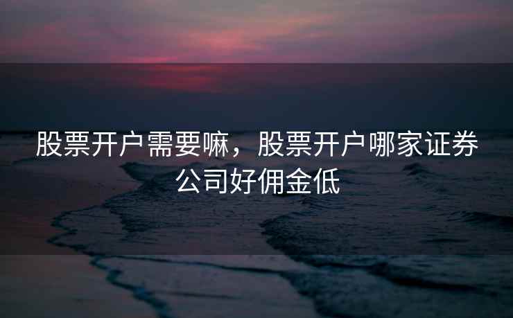 股票开户需要嘛，股票开户哪家证券公司好佣金低