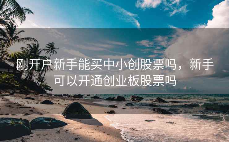刚开户新手能买中小创股票吗，新手可以开通创业板股票吗