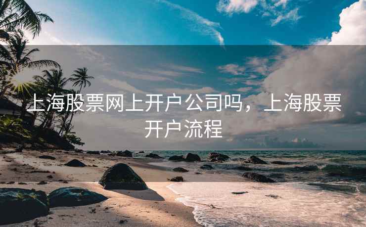 上海股票网上开户公司吗，上海股票开户流程