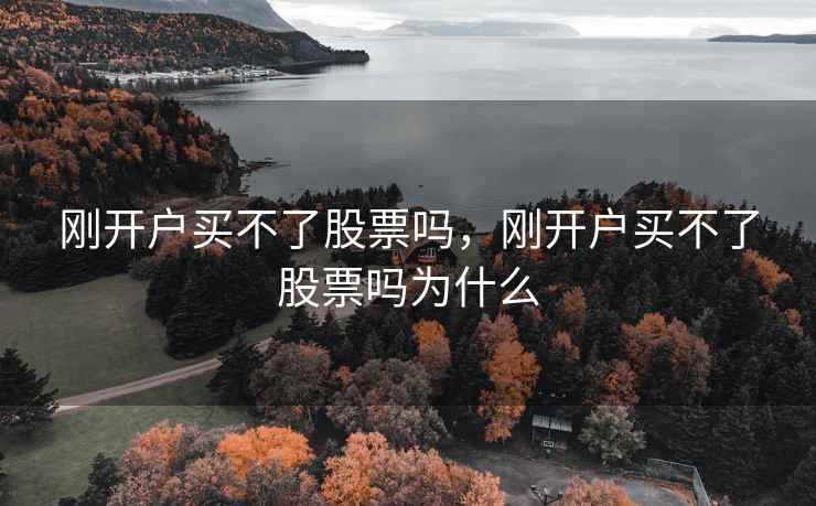 刚开户买不了股票吗，刚开户买不了股票吗为什么