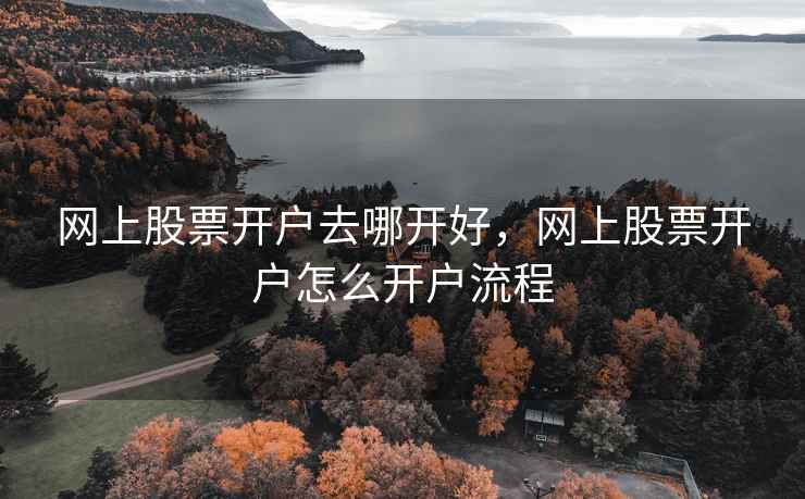 网上股票开户去哪开好，网上股票开户怎么开户流程