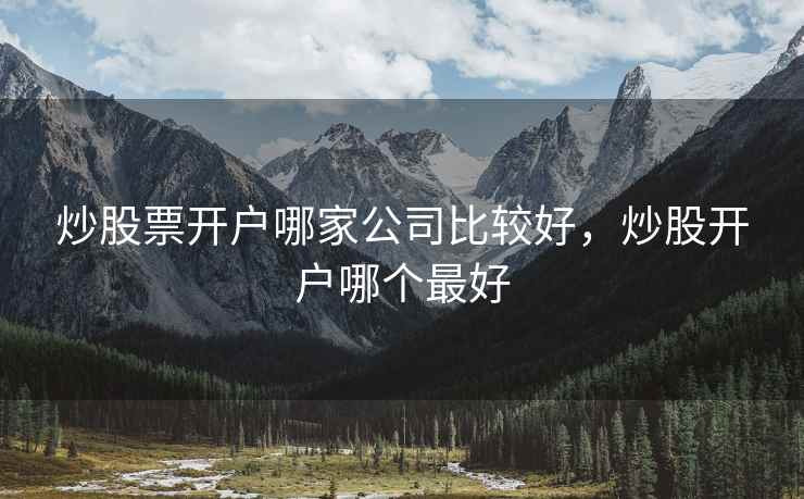 炒股票开户哪家公司比较好，炒股开户哪个最好