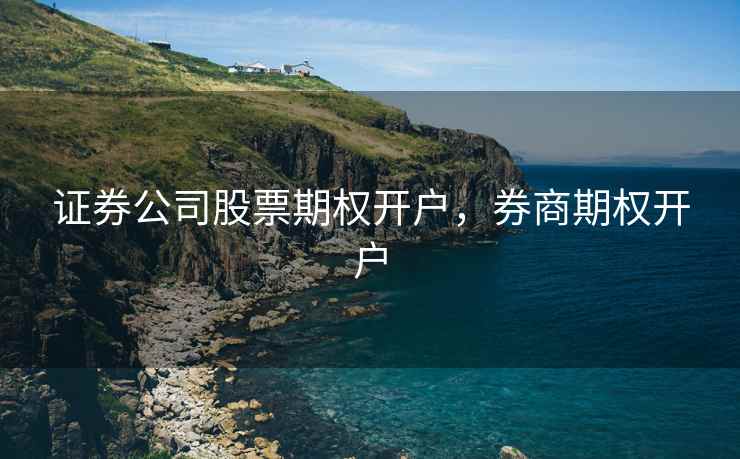 证券公司股票期权开户，券商期权开户