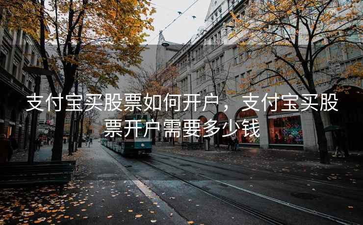 支付宝买股票如何开户，支付宝买股票开户需要多少钱