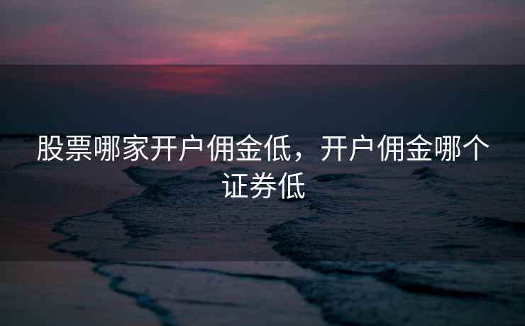 股票哪家开户佣金低,开户佣金哪个证券低 股票哪家开户佣金低,开户佣金哪个证券低