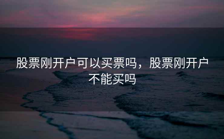 股票刚开户可以买票吗，股票刚开户不能买吗