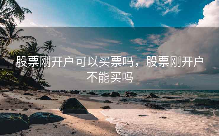 股票刚开户可以买票吗，股票刚开户不能买吗