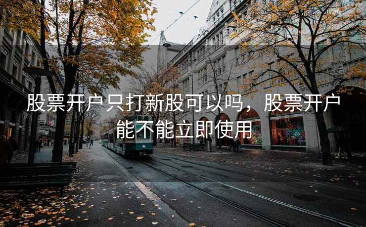 股票开户只打新股可以吗，股票开户能不能立即使用