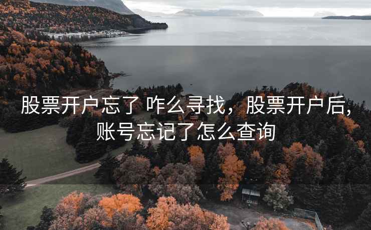 股票开户忘了 咋么寻找,股票开户后,账号忘记了怎么查询 股票开户忘了 咋么寻找,股票开户后,账号忘记了怎么查询