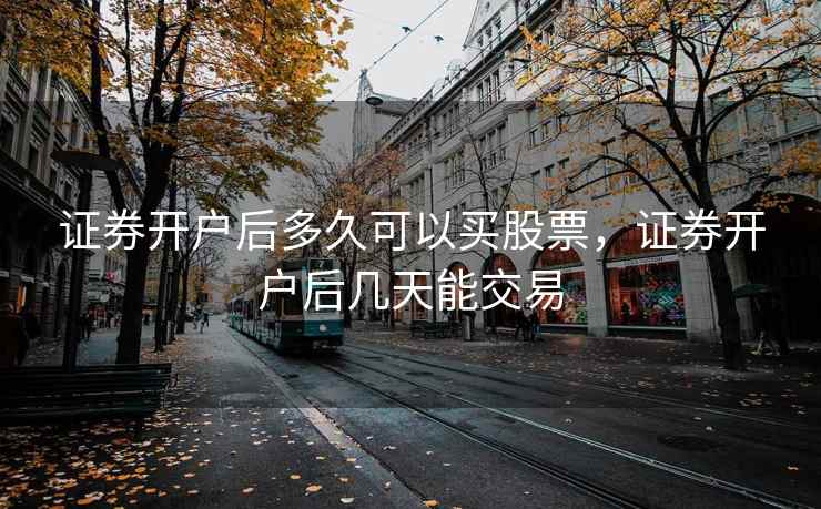证券开户后多久可以买股票，证券开户后几天能交易