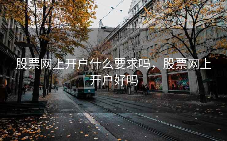 股票网上开户什么要求吗，股票网上开户好吗