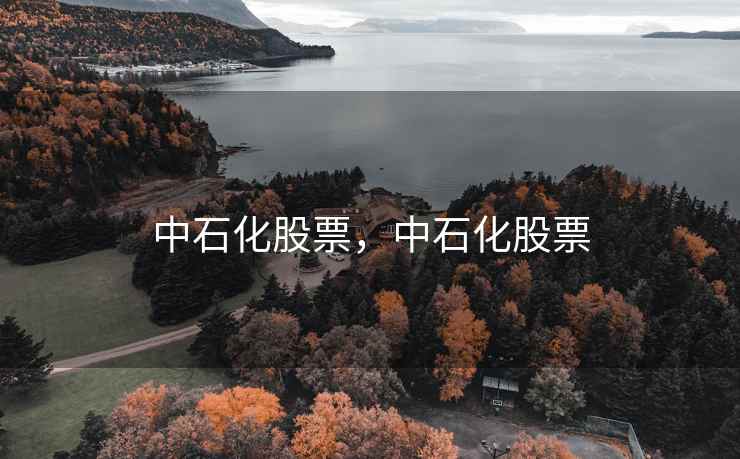 中石化股票,中石化股票 中石化股票,中石化股票