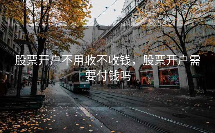 股票开户不用收不收钱，股票开户需要付钱吗