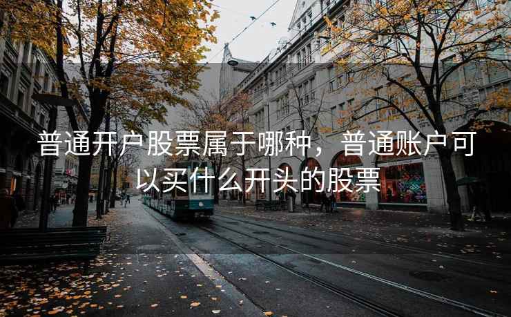 普通开户股票属于哪种，普通账户可以买什么开头的股票