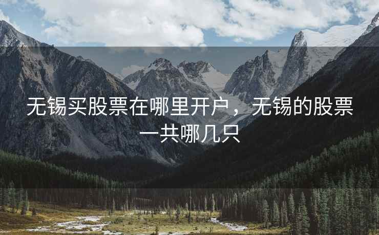 无锡买股票在哪里开户，无锡的股票一共哪几只